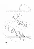 STARTMOTOR voor Yamaha TENERE 700 WORLD RAID 2025