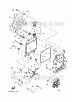 RADIATEUR / SLANG voor Yamaha BW'S 125 2025