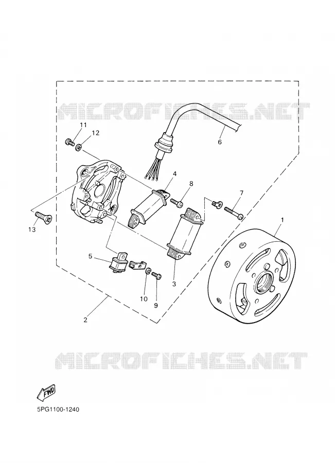 DYNAMO Yamaha MOTO 50 2009 PW  PW50