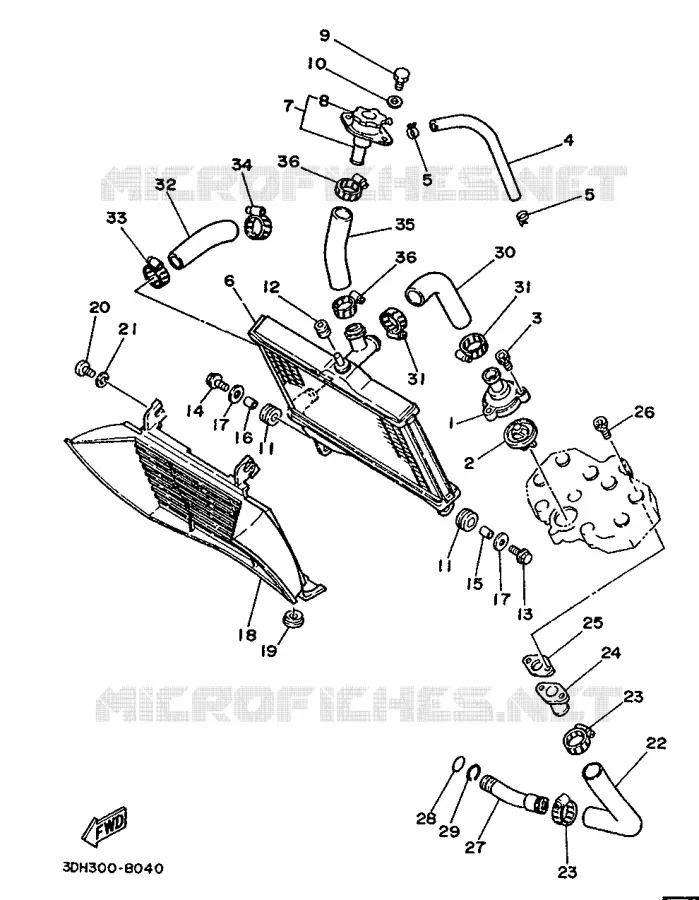RADIATEUR / SLANG Yamaha MOTO 350 1988 RDLC  RD350LCF