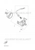 DYNAMO voor Yamaha BW'S 50 2003