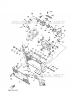 RADIATEUR / SLANG voor Yamaha TDM900A 2008