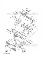 RADIATEUR / SLANG voor Yamaha TDM900R 2003