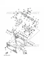 RADIATEUR / SLANG voor Yamaha TDM900T 2005