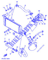 RADIATEUR / SLANG voor Yamaha TDR125 1994