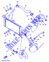 RADIATEUR / SLANG voor Yamaha TDR125 1997