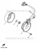 DYNAMO voor Yamaha TDR125 1999
