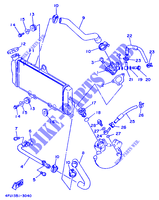 RADIATEUR / SLANG voor Yamaha TDR125 1999