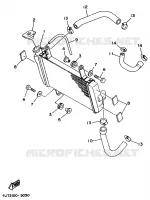 RADIATEUR / SLANG voor Yamaha TZ125 1998