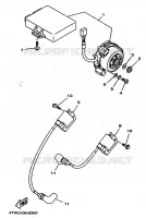 DYNAMO voor Yamaha TZ250 1999