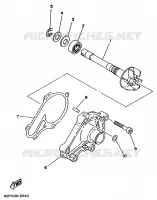 WATERPOMP voor Yamaha TZ250 1999