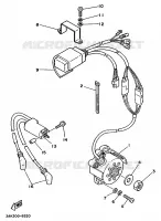 DYNAMO voor Yamaha TZ250U 1988