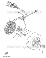 DYNAMO voor Yamaha TZR250 1989