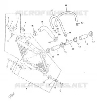 RADIATEUR / SLANG voor Yamaha TZR50 1998