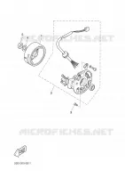 DYNAMO voor Yamaha BW'S 50 NAKED 2003