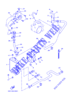 RADIATEUR / SLANG voor Yamaha VP300 2002