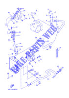 RADIATEUR / SLANG voor Yamaha VP300 2002