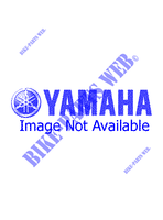 BENZINE TANK voor Yamaha XC125 1995