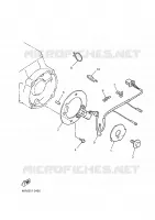 DYNAMO PICKUP voor Yamaha XJS 900 DIVERSION 2001