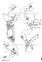 RADIATEUR / SLANG voor Yamaha DTE125 1989