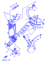 RADIATEUR / SLANG voor Yamaha DTE125 1991