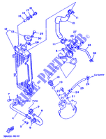 RADIATEUR / SLANG voor Yamaha DT125R 1988