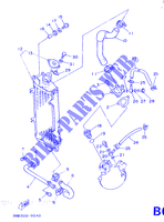 RADIATEUR / SLANG voor Yamaha DT125R 1989