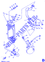 RADIATEUR / SLANG voor Yamaha DT125R 1990