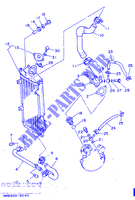 RADIATEUR / SLANG voor Yamaha DT125R 1991