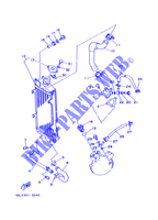 RADIATEUR / SLANG voor Yamaha DT125R 1997