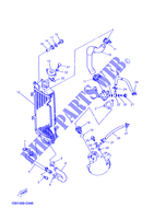 RADIATEUR / SLANG voor Yamaha DTRE 125 2005