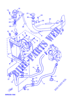RADIATEUR / SLANG voor Yamaha YP125D 2002
