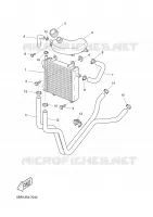 RADIATEUR / SLANG voor Yamaha YQ50 2001