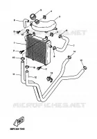 RADIATEUR / SLANG voor Yamaha AEROX 50 R 1999