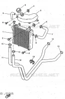 RADIATEUR / SLANG voor Yamaha YQ50R 1997