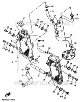 RADIATEUR / SLANG voor Yamaha YZ250LC 1995