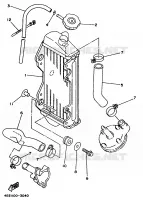 RADIATEUR / SLANG voor Yamaha YZ80K 1998