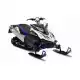 1000 2010 APEX RX10MS