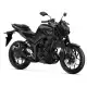250 2022 MT MTN250-A