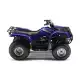 125 2009 GRIZZLY YFM125A GRIZZLY 125